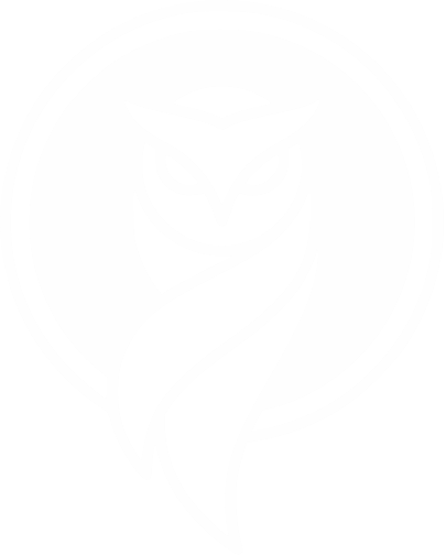 Hemi Holding Logo